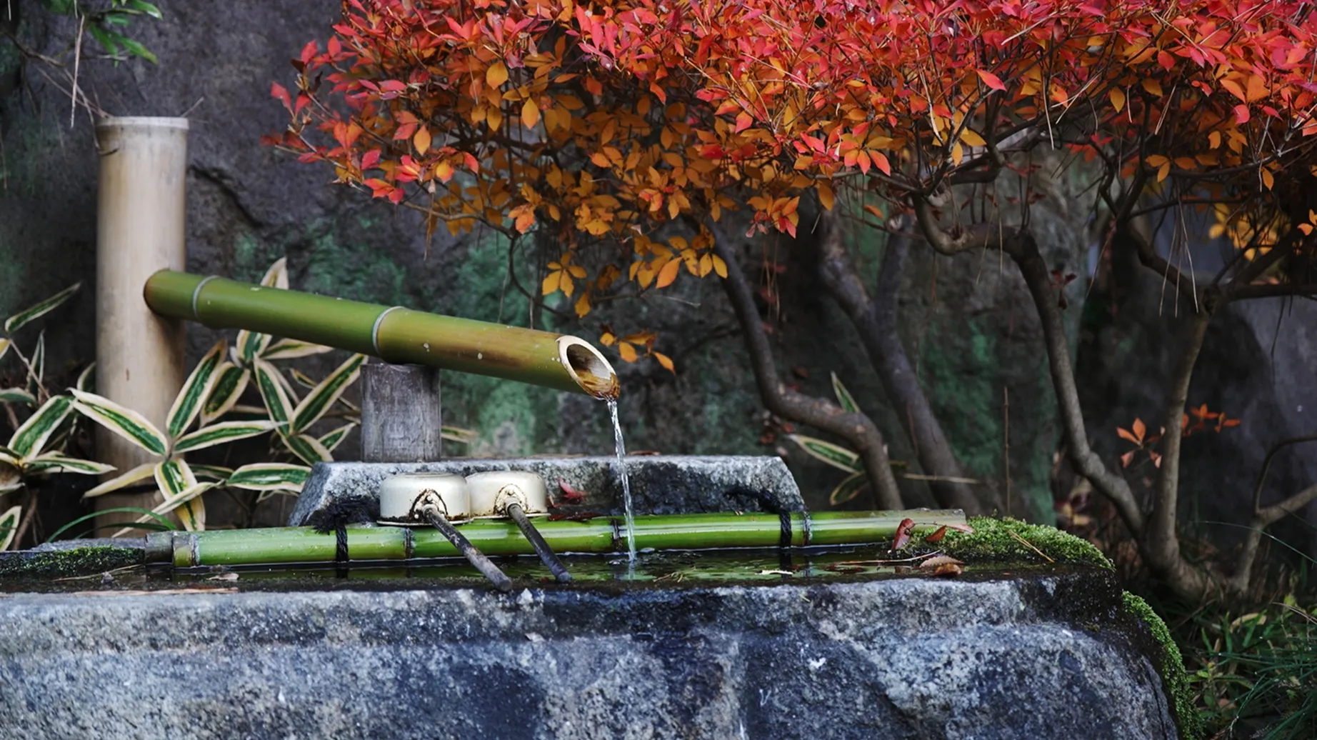 伝統文化の継承